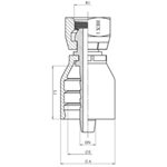 SWAGE FITTING ONE PIECE FEM BSPP CONE 60° 5 / 8" X 1 / 2"