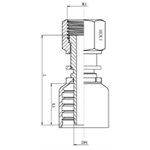 SWAGE FITTING ONE PIECE FEM ORFS 5 / 8" X 1 / 2"