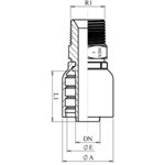 RACCORD UNE PIÈCE MÂLE BSPT 1 / 4" X 1 / 4"