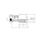 SWAGE FITTING ONE PIECE FEM BSPP DOUBLE HEX 60° 1 / 2" X 1 / 2"