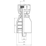 RACCORD UNE PIÈCE FEM BSPP 60° + O'RING Série BWS