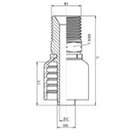 RACCORD UNE PIÈCE MÂLE NPT Série BWS