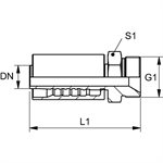 SWAGE FITTING MALE BSPP CONE 60° 3 / 4" X 3 / 4"