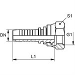 SWAGE FITTING FEM BSPP CONE 60° 1 / 4" X 3 / 16"